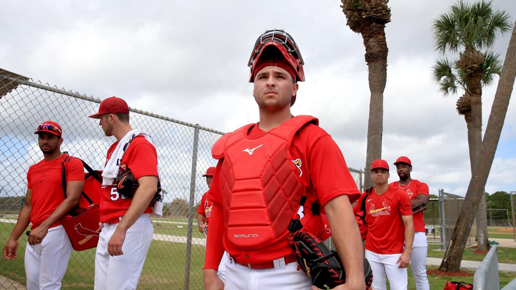 Cardinals' big-league catchers played role in prospect Jimmy Crooks' defensive strides